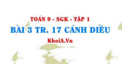 Bài 3 trang 17 Toán 9 Cánh diều Tập 1